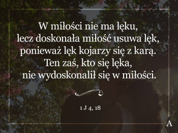 Parafia NSPJ w Grzybnie