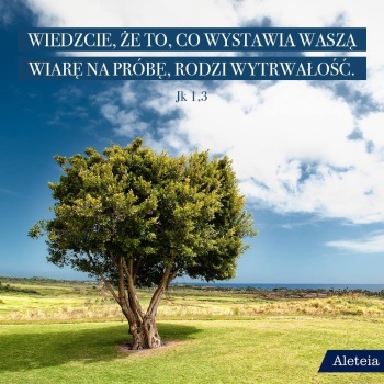 Parafia NSPJ w Grzybnie