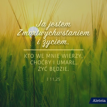 Parafia NSPJ w Grzybnie