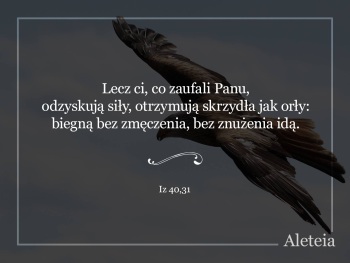Parafia NSPJ w Grzybnie