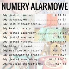 Parafia NSPJ w Grzybnie