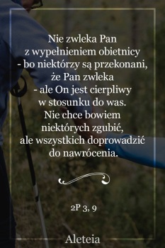 Parafia NSPJ w Grzybnie