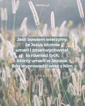 Parafia NSPJ w Grzybnie