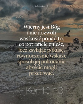 Parafia NSPJ w Grzybnie