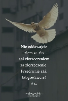 Parafia NSPJ w Grzybnie